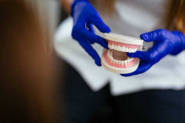 Best Traditional Braces  in Holtville, CA